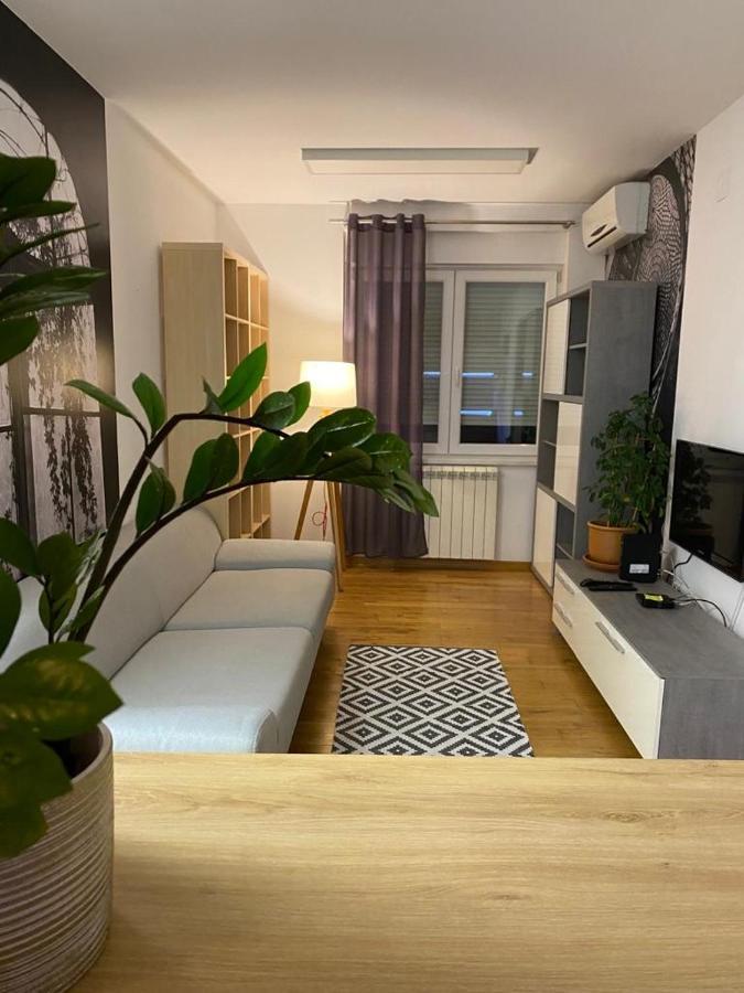Benvenuti Apartments Belgrad Dış mekan fotoğraf