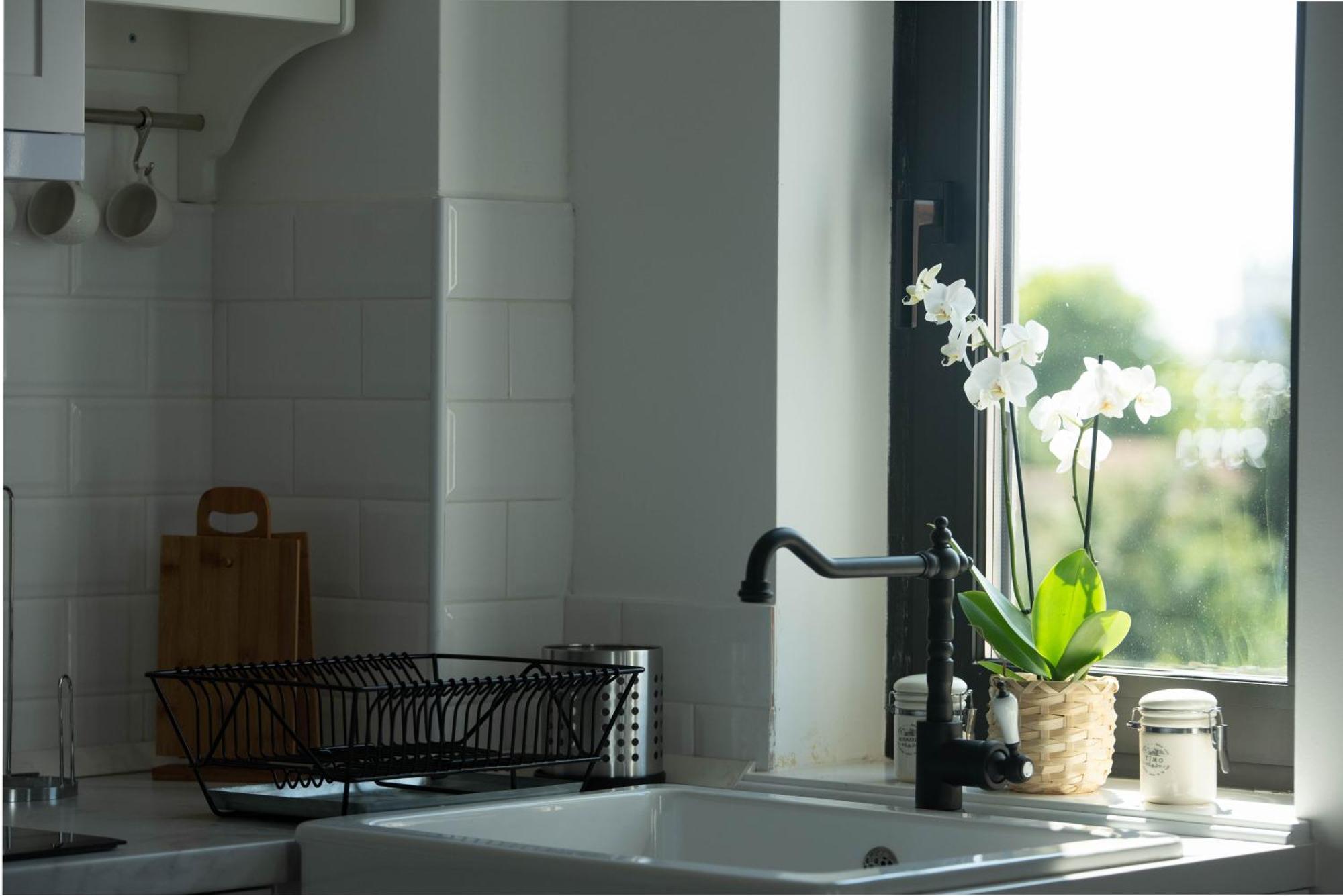 Benvenuti Apartments Belgrad Dış mekan fotoğraf